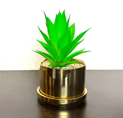 Golden Ceramic Planter Pots